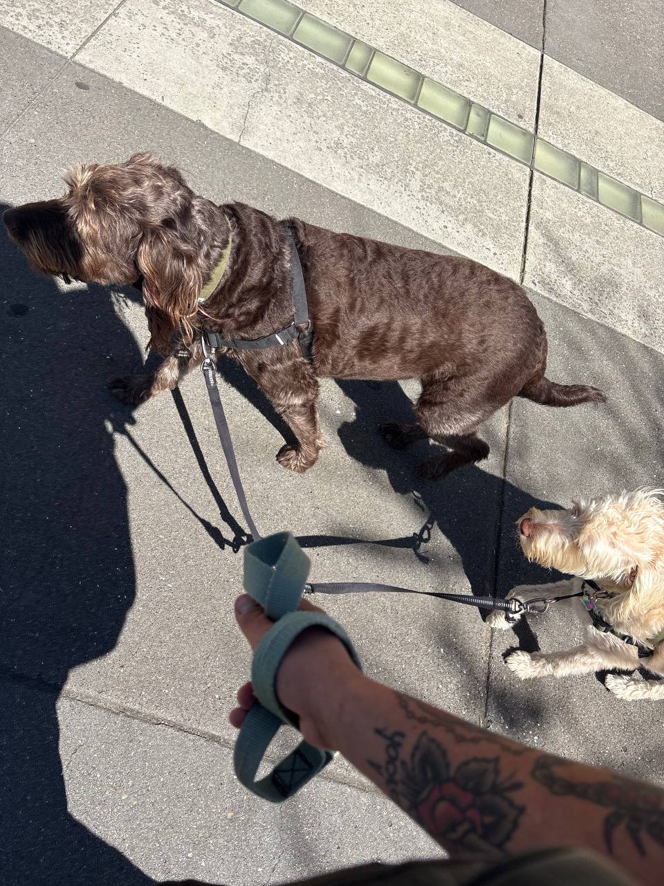 Walking